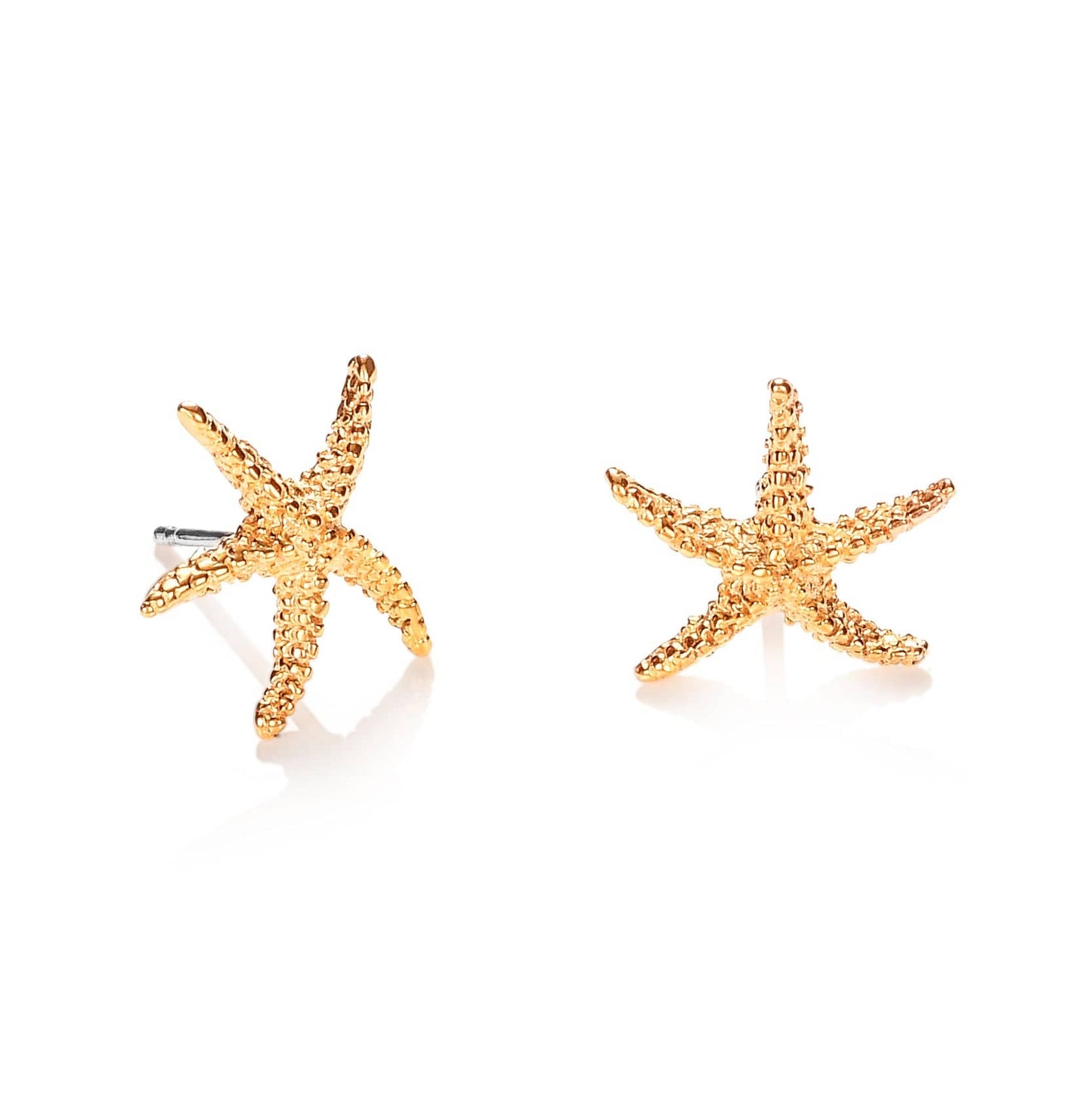 Brushed Finish Large Starfish Stud Earrings in Gold for Women