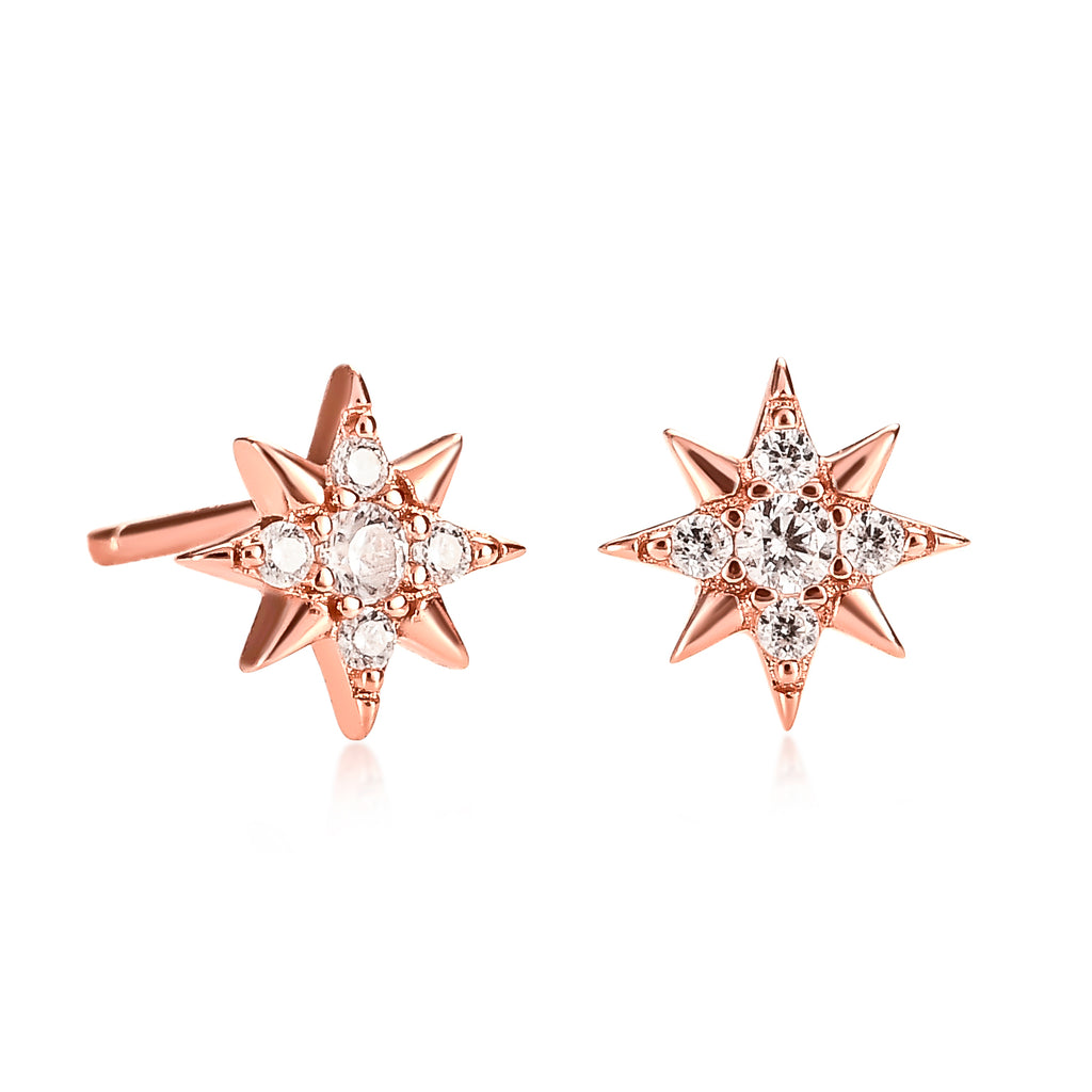 Rose Gold Mini Star Stud Earrings for Women
