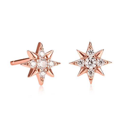Rose Gold Mini Star Stud Earrings for Women